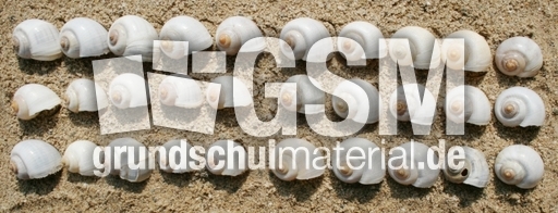 Schneckenhäuser-30.jpg